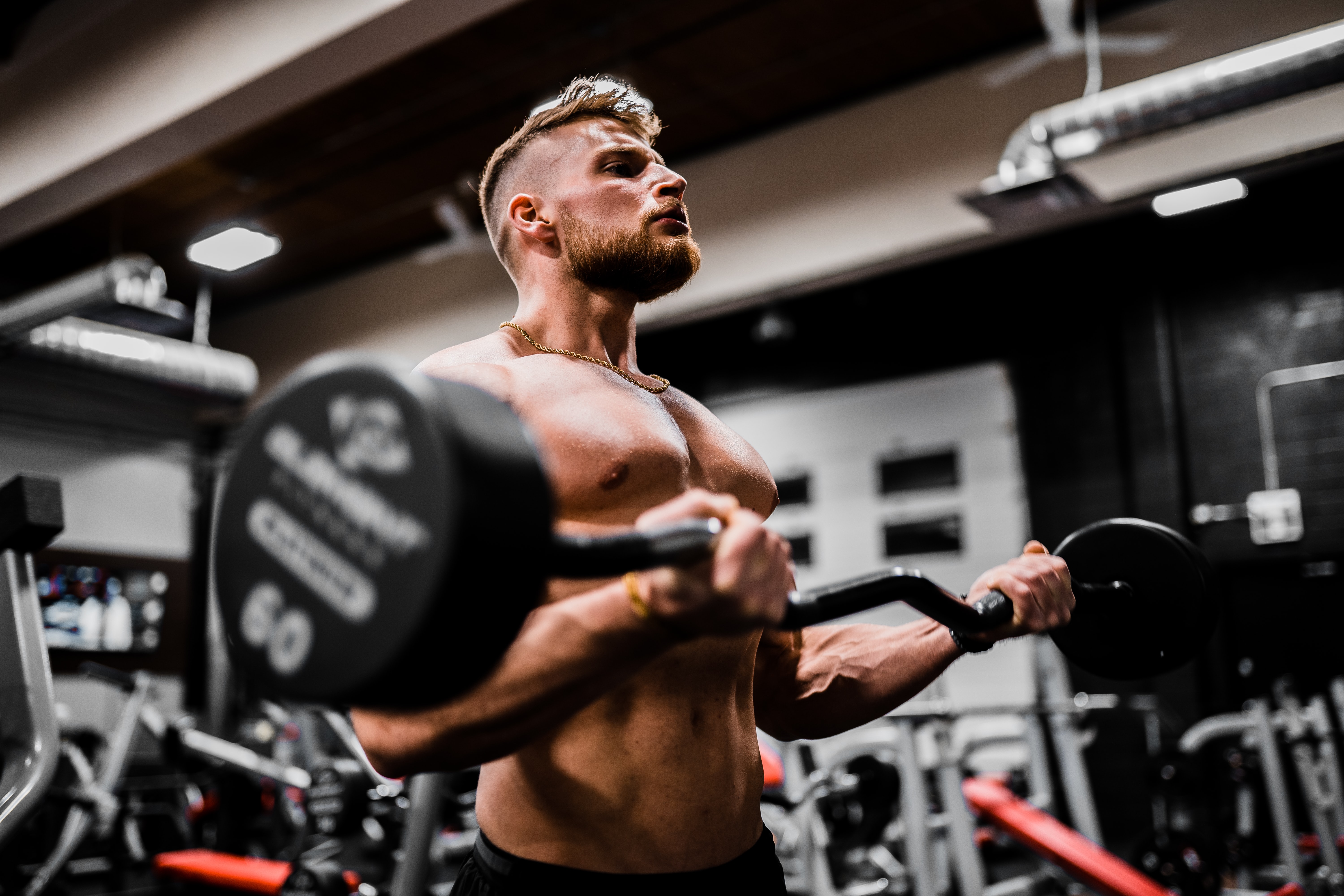 testosterone-training