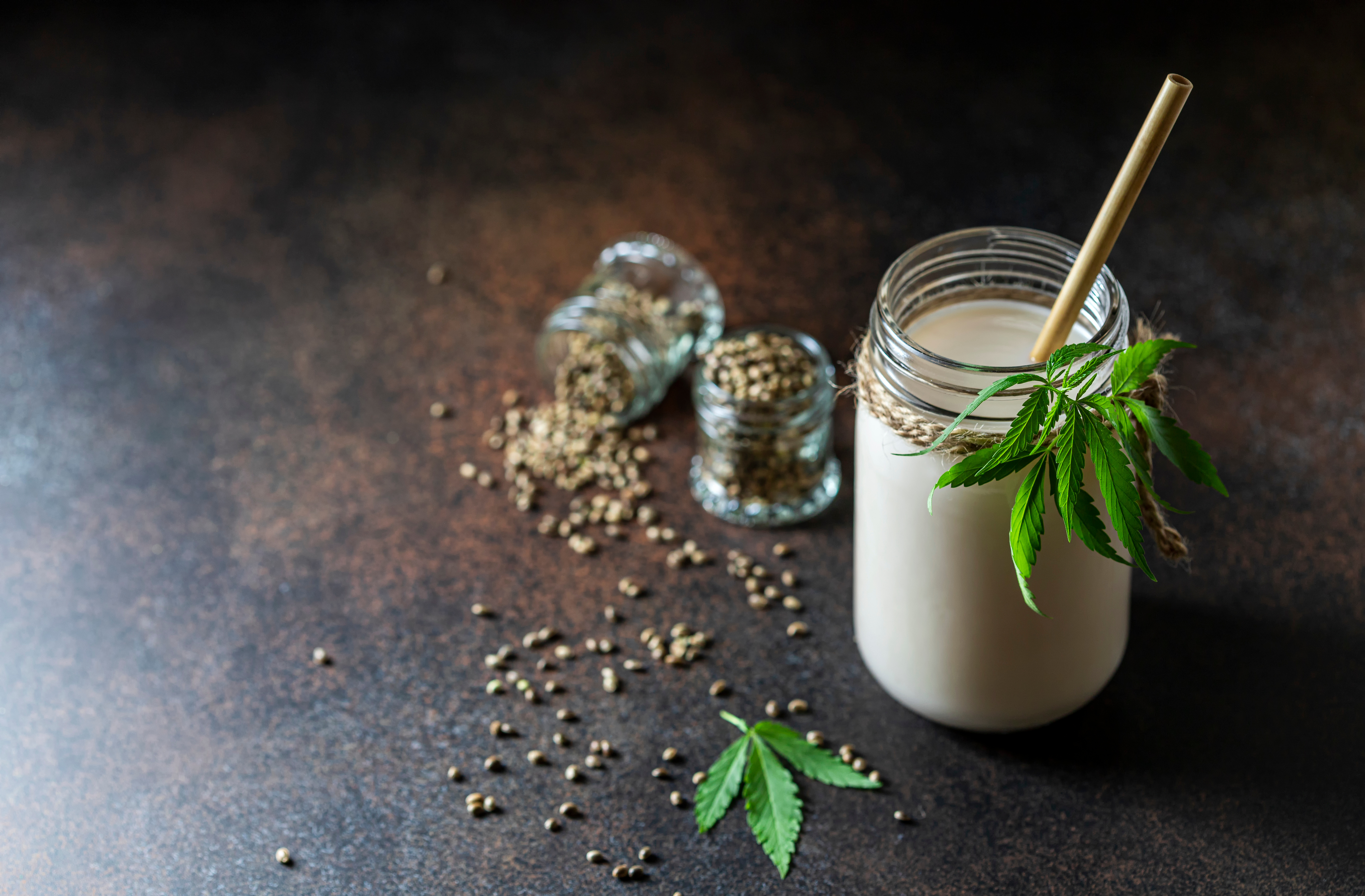 hemp protein